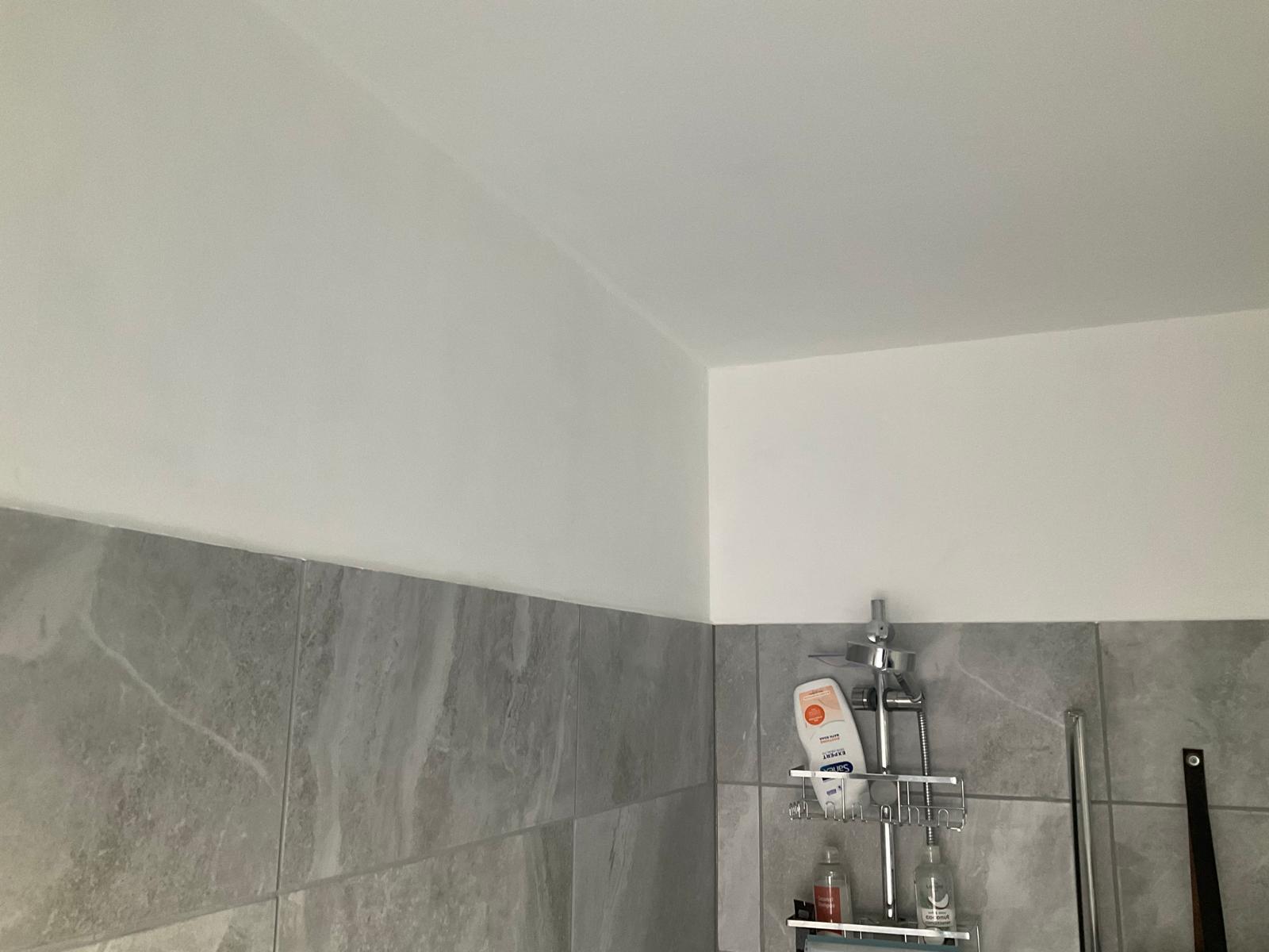 PHOTO-2026-02-16-14-35-39 (4)